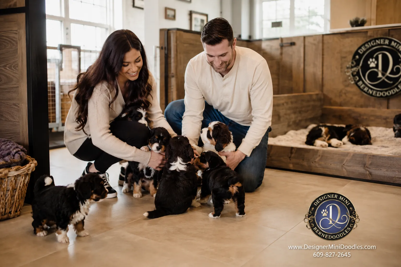 mini bernedoodles Dallas