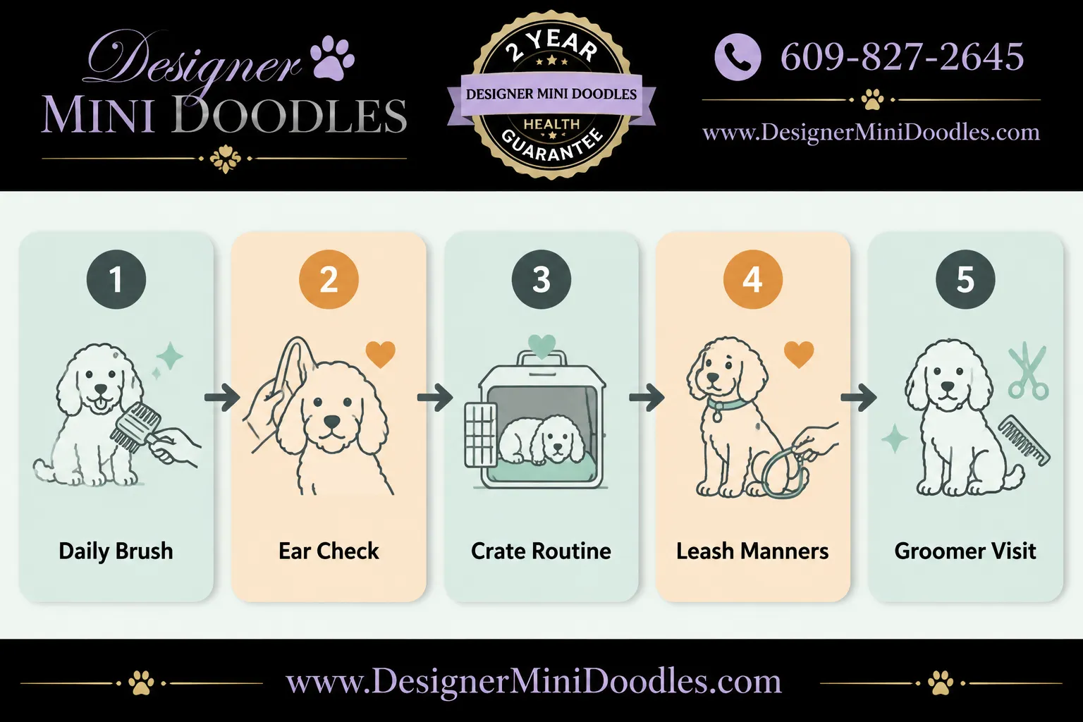 What are mini Goldendoodle grooming requirements and how much do they shed?