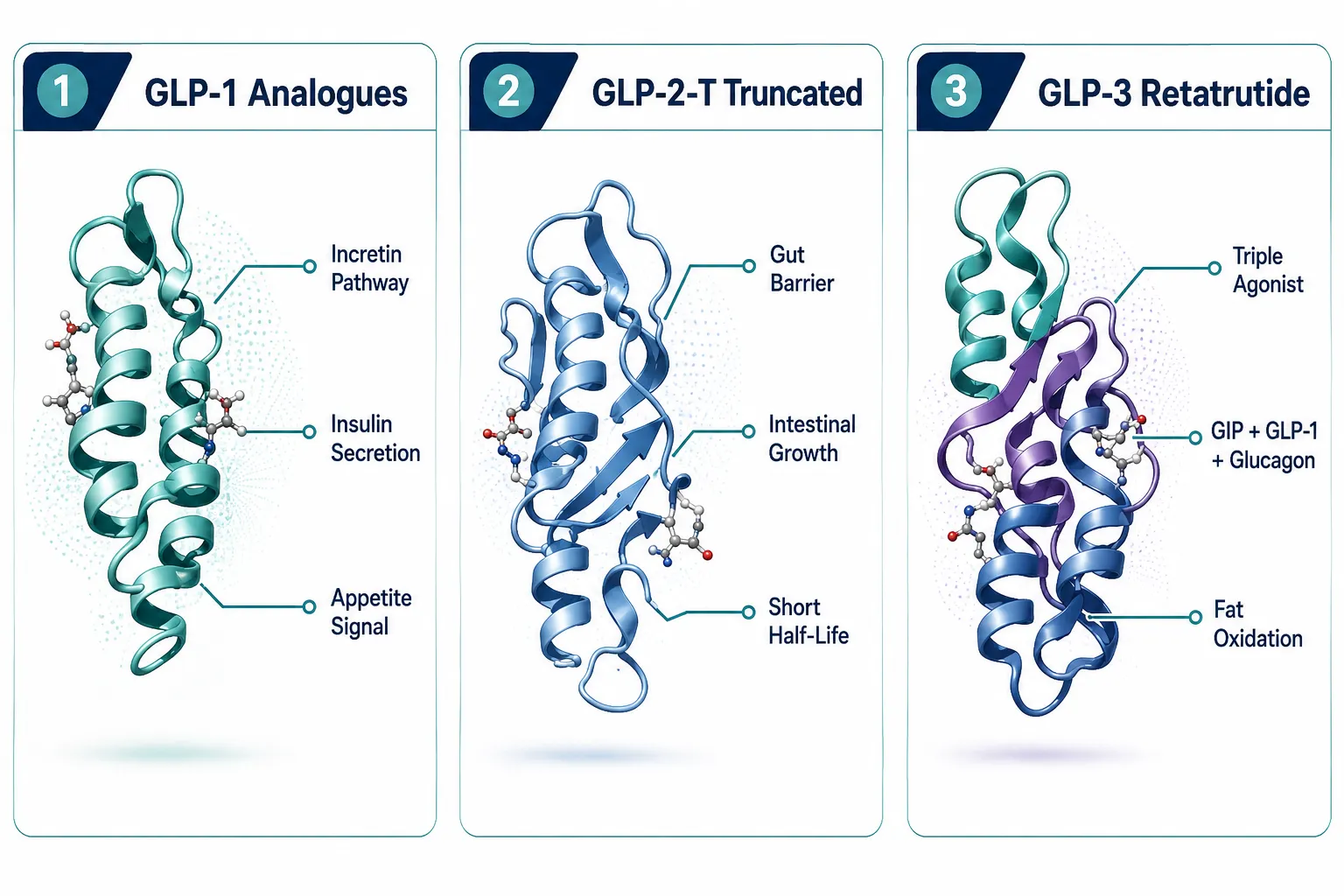 Understanding the GLP Peptide Landscape Before You Buy