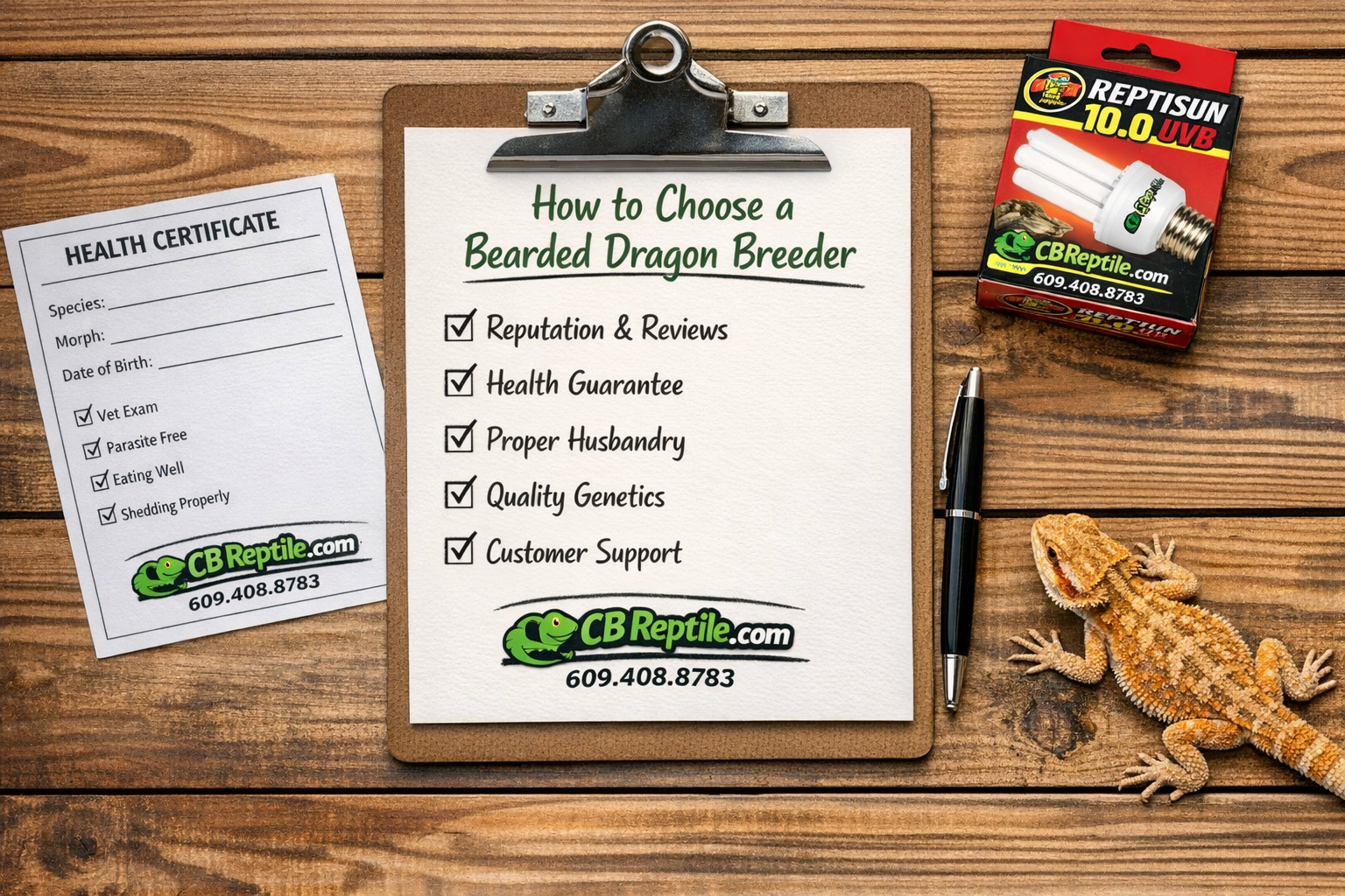 () overhead flat-lay style image of a checklist document titled 'How to Choose a Bearded Dragon Breeder' with a pen, printed