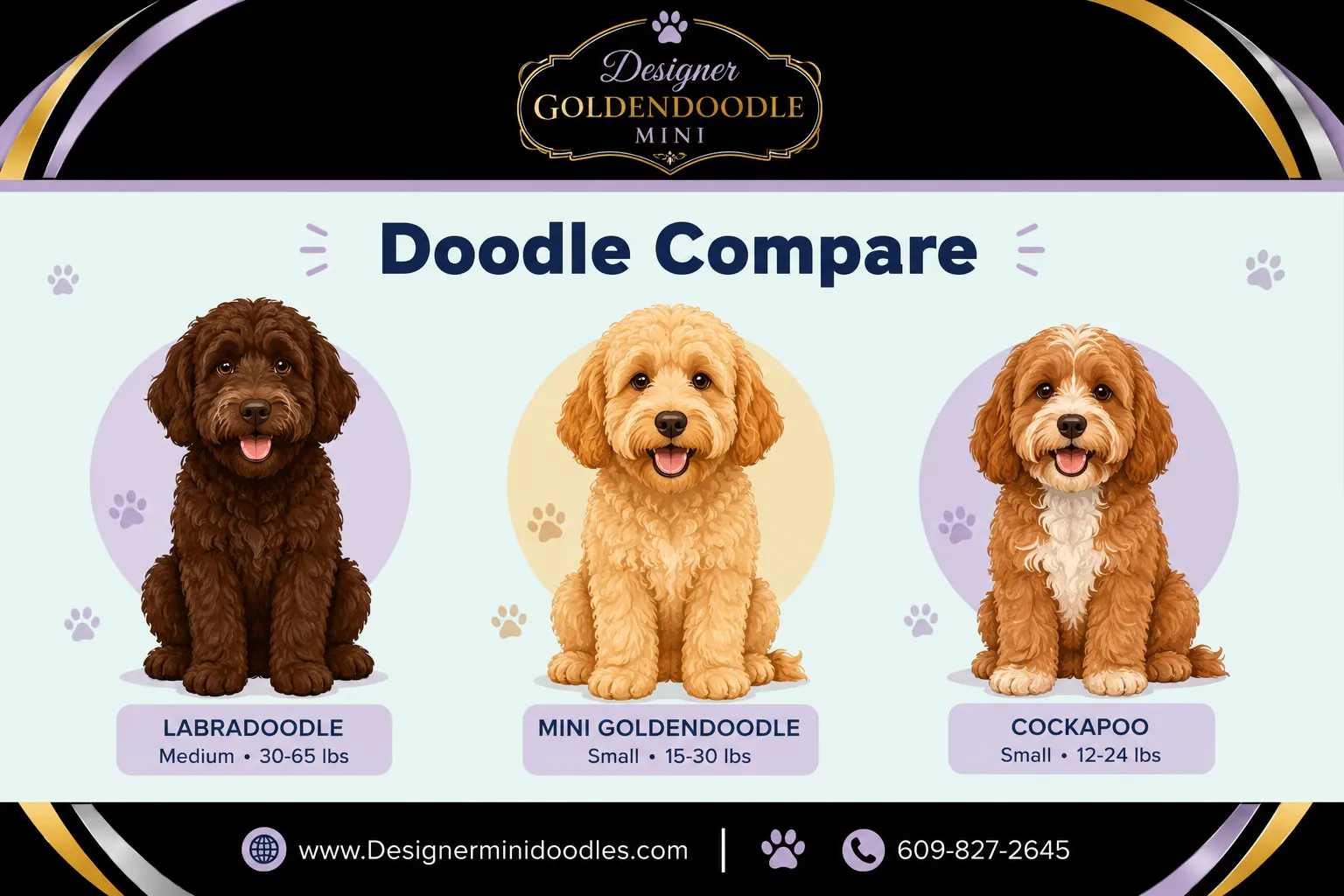 goldendoodle mini puppies
