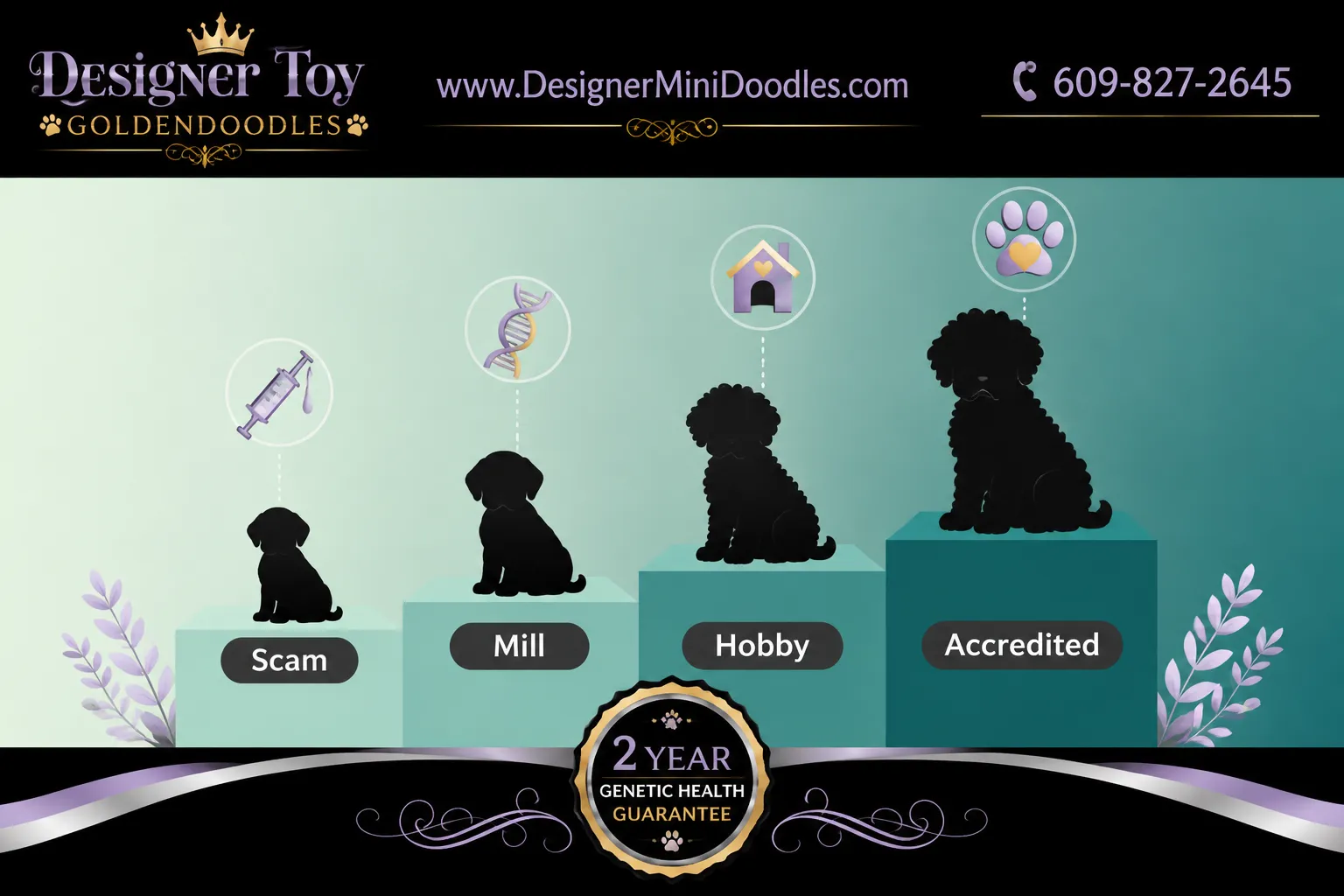 toy goldendoodle breeders near me