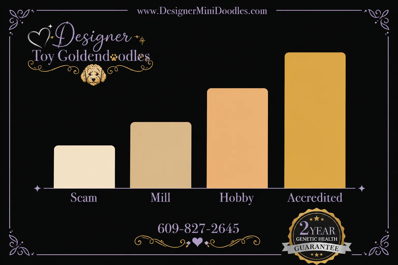 Toy Goldendoodle price