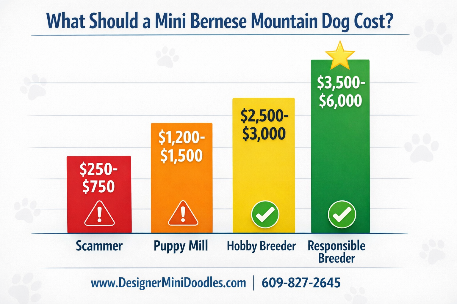 Detailed () image showing a price comparison bar graph for bernese mountain dog puppies. Four vertical bars in ascending