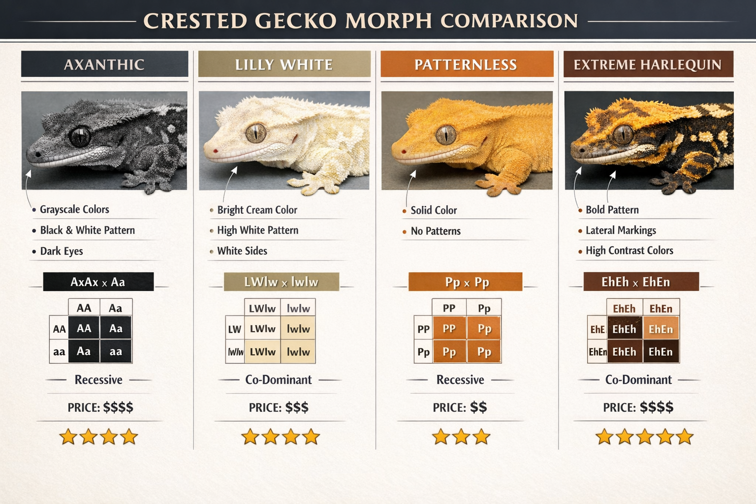 Landscape format (1536x1024) detailed comparison chart showing four confirmed genetic morphs of crested geckos - axanthic (gray/black/white)