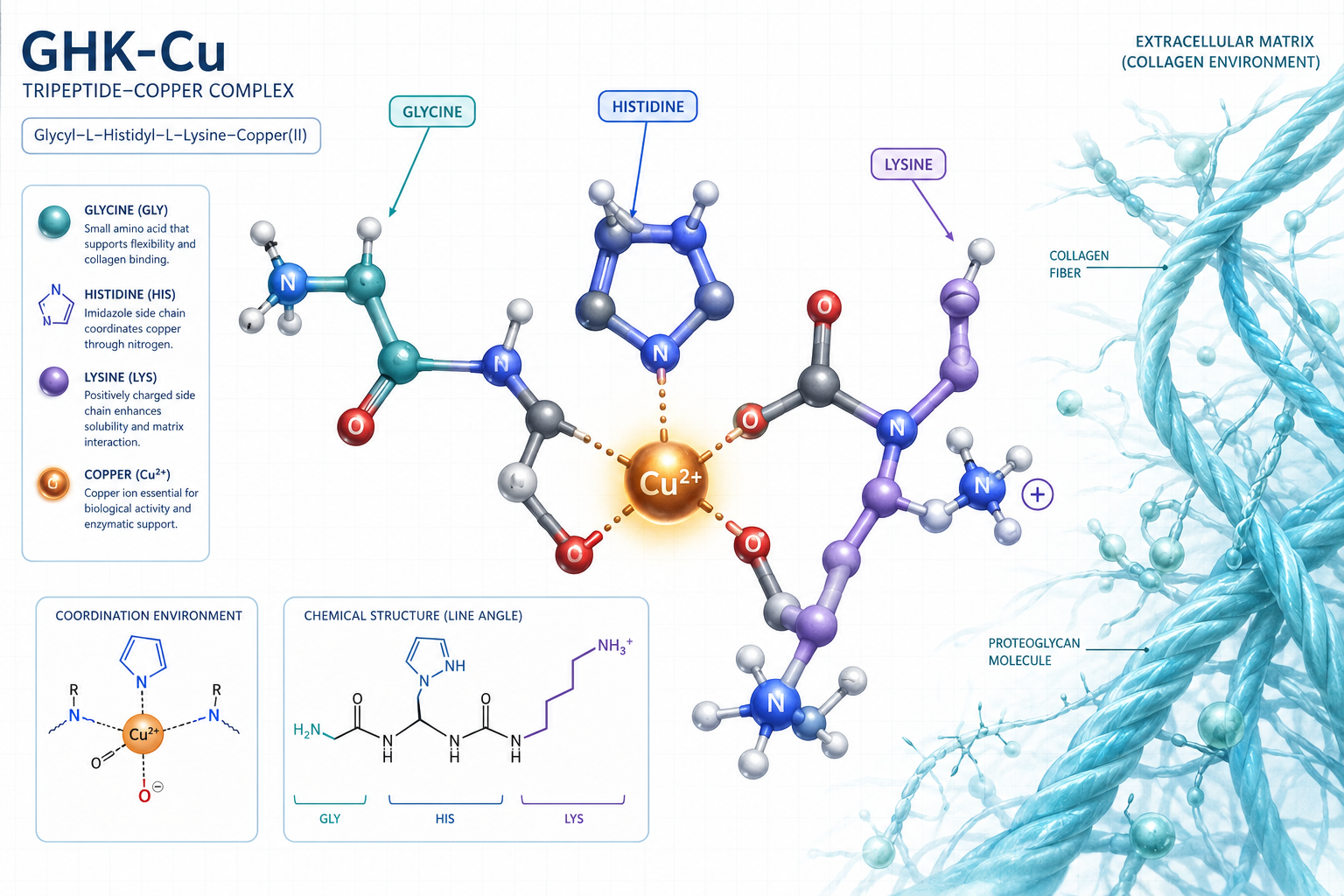 What Is GHK-Cu and Why Does Copper Matter
