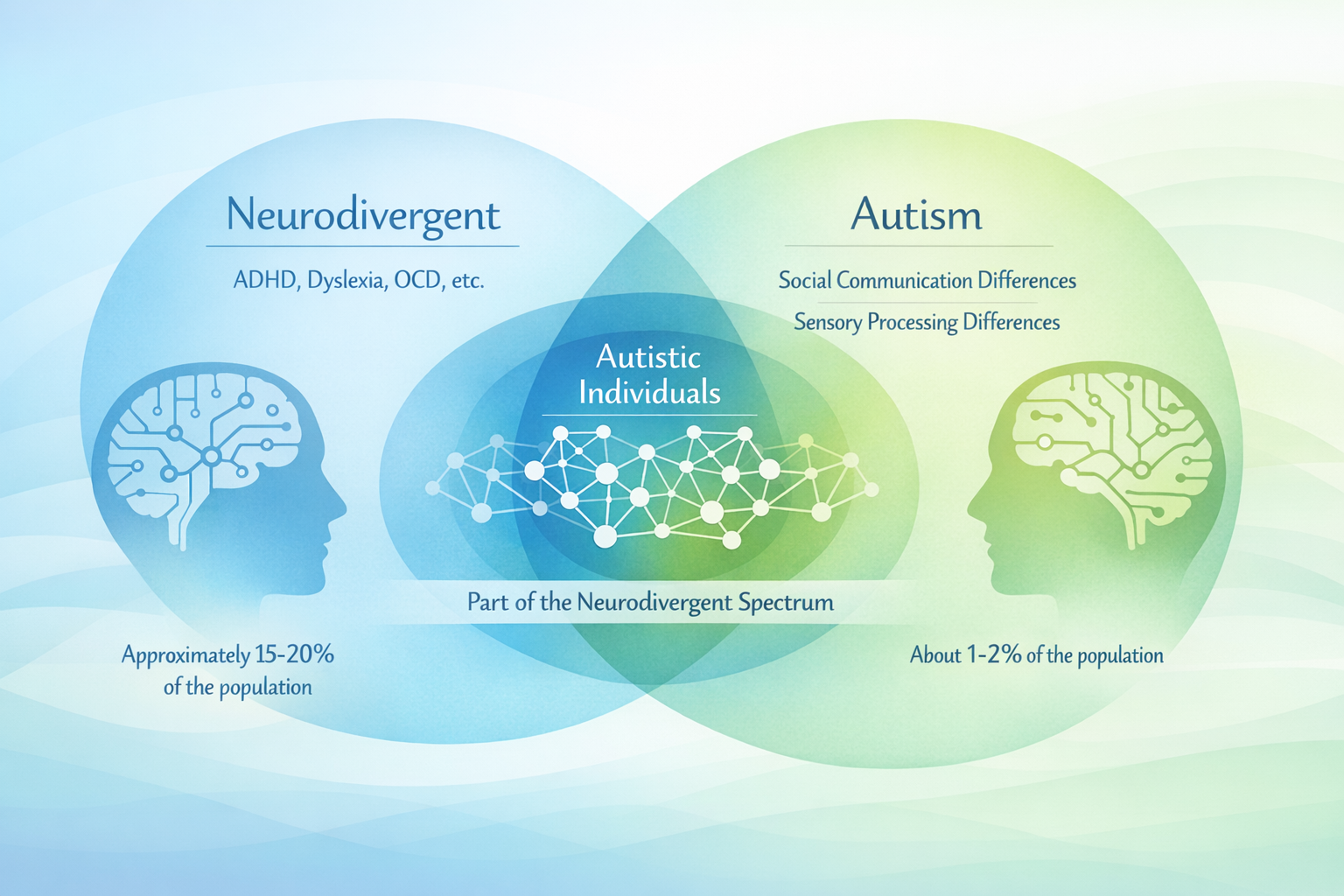 Conceptual infographic illustrating neurodivergence and autism relationship, featuring an abstract Venn diagram with soft pastel blues and g