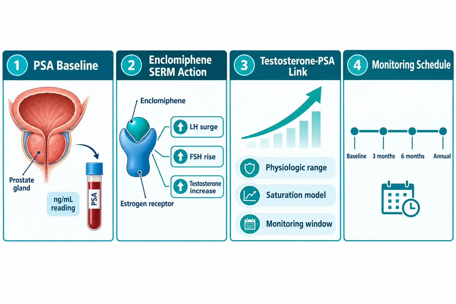What Is PSA and Why Does Hormone Status Matter