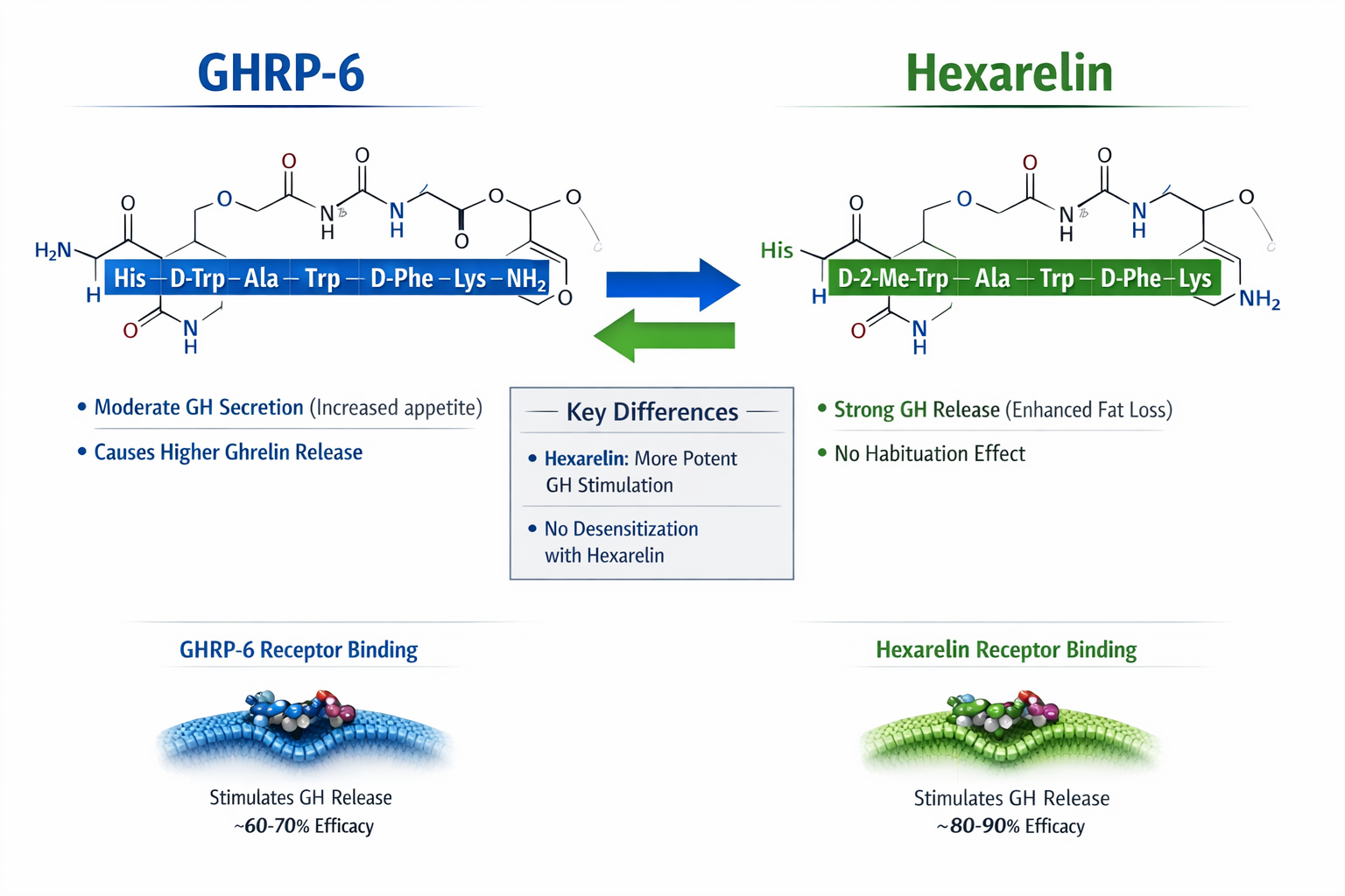 Scientific comparison infographic (1536x1024) showing GHRP-6 and Hexarelin molecular structures side by side with detailed annotations. Left