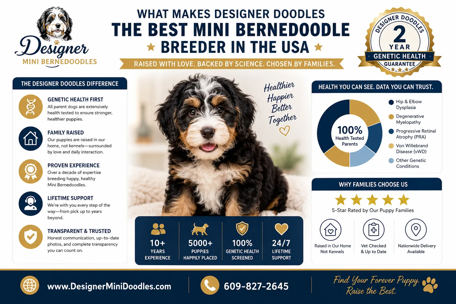 mini bernedoodles for sale in Kansas City