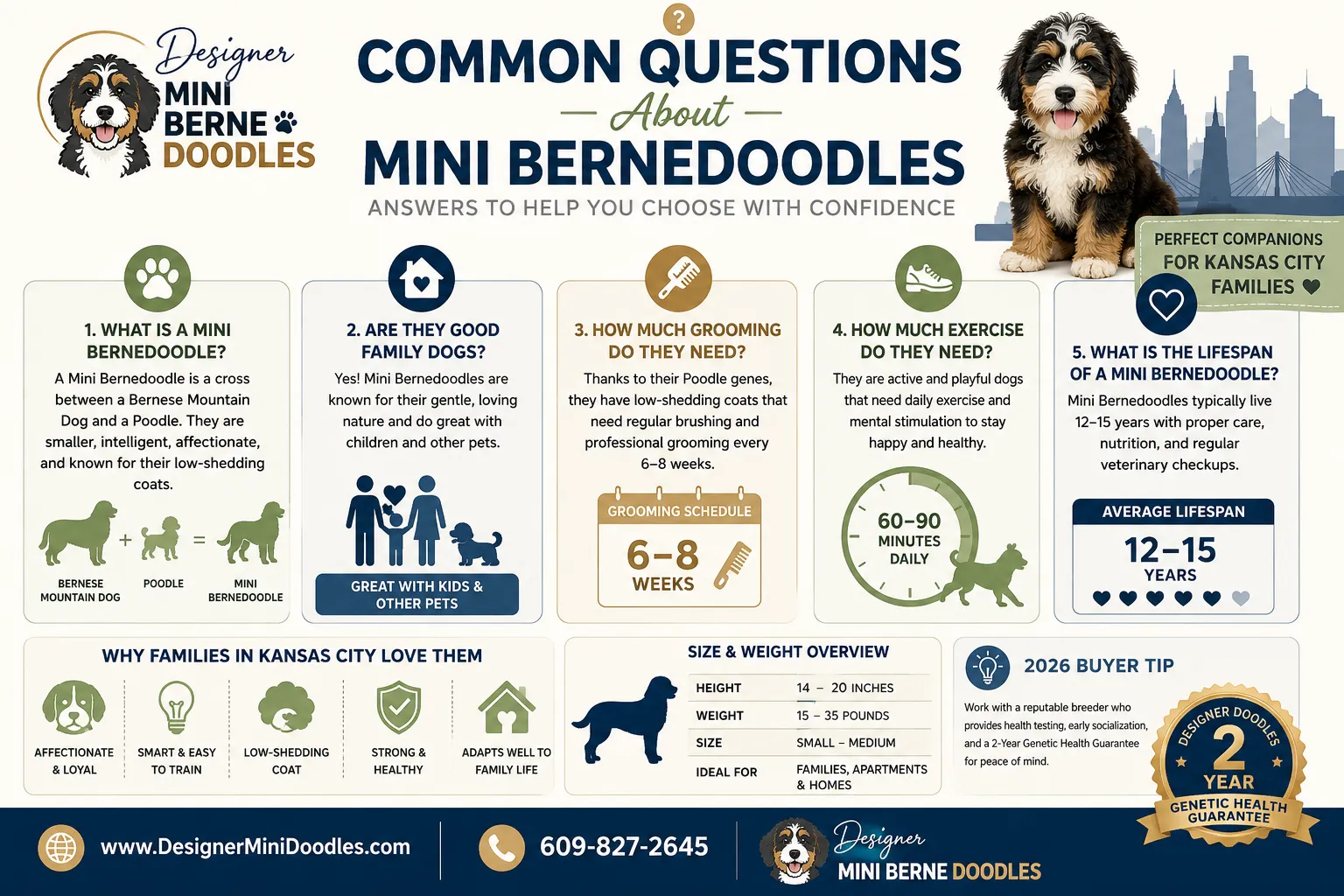 Life With a Mini Bernedoodle in Kansas City