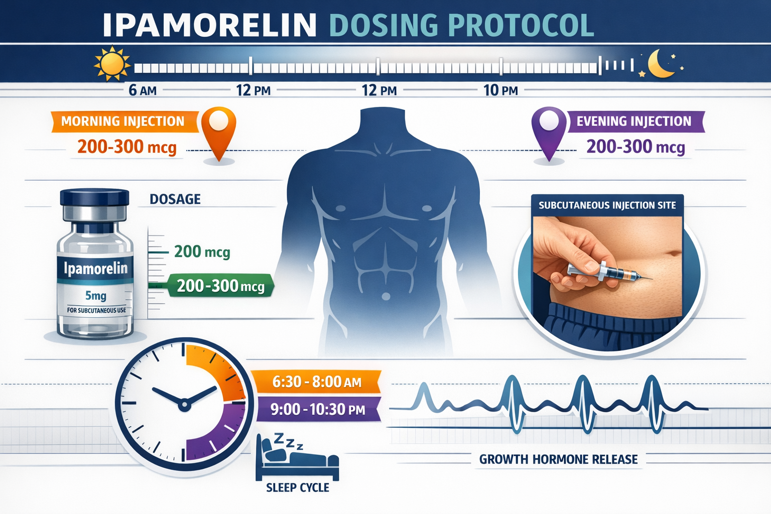Detailed infographic illustration showing Ipamorelin dosing protocol timeline across 24-hour period, featuring color-coded injection schedul