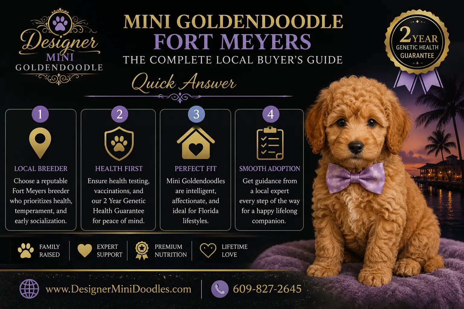 mini goldendoodle Fort Meyers