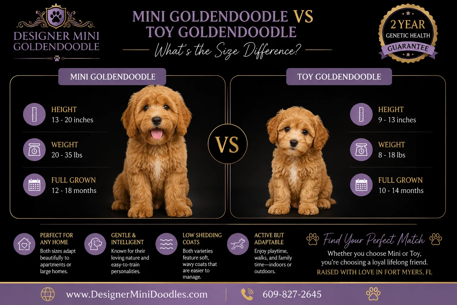 Grooming, shedding, and coat types: what maintenance should I expect?