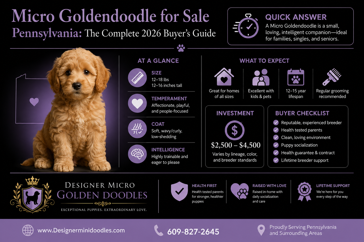 micro goldendoodle for sale Pennsylvania