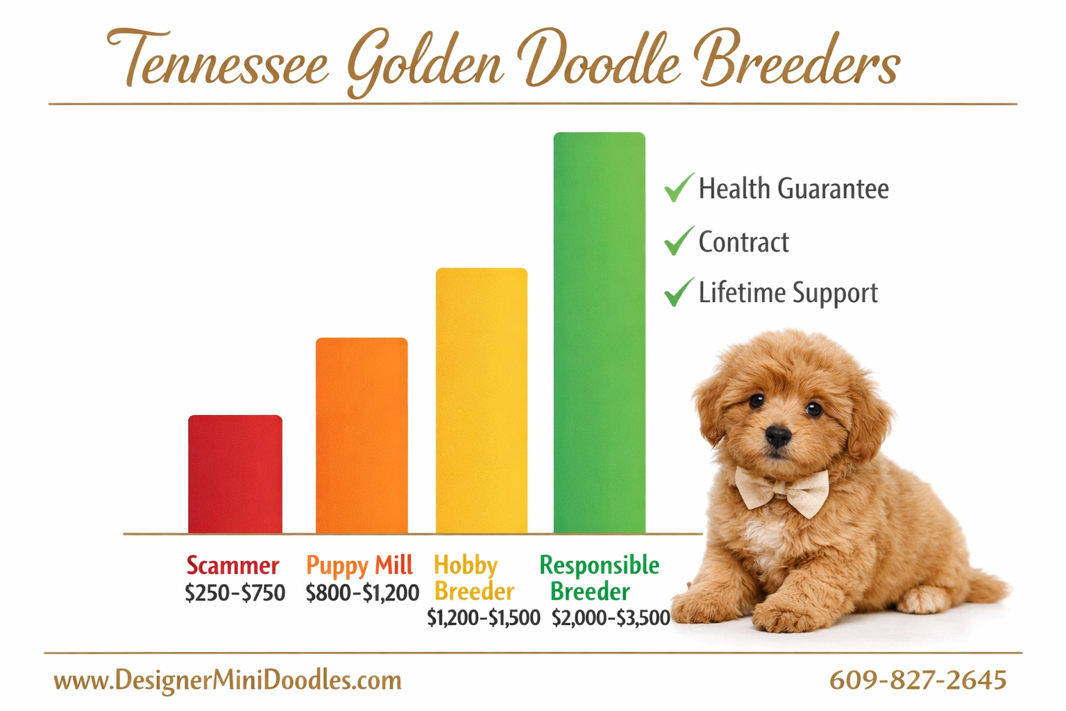 () showing a price comparison bar graph infographic with four distinct colored bars: red bar labeled 'Scammer $250-$750',