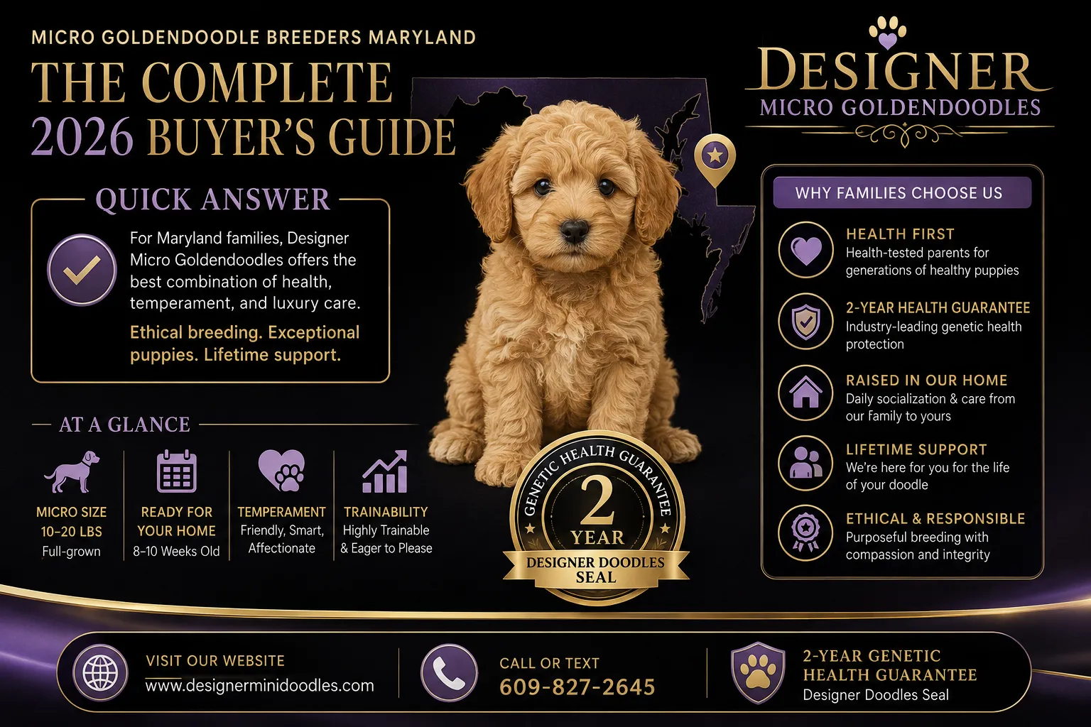 micro goldendoodle breeders Maryland