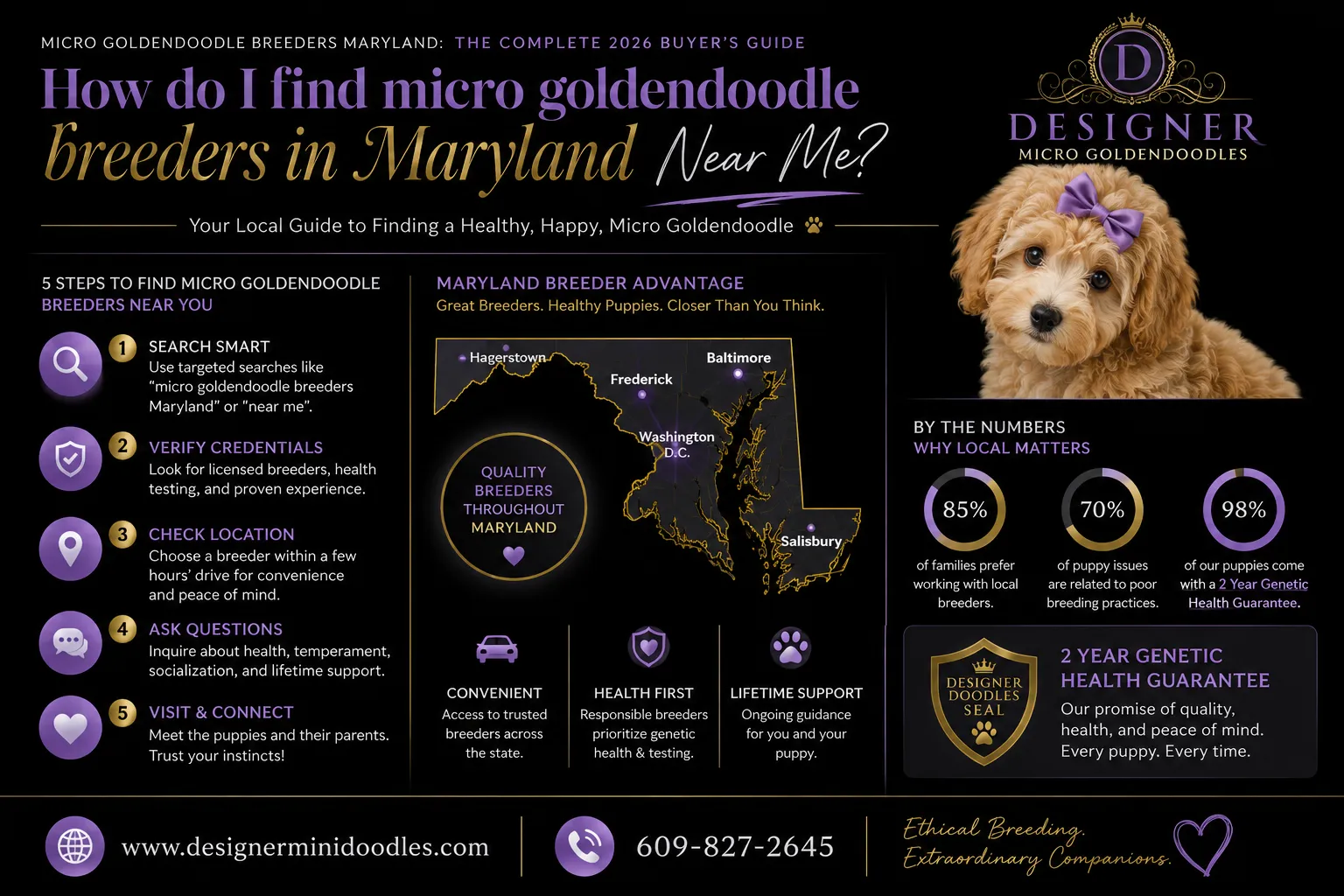 micro goldendoodle breeders Maryland