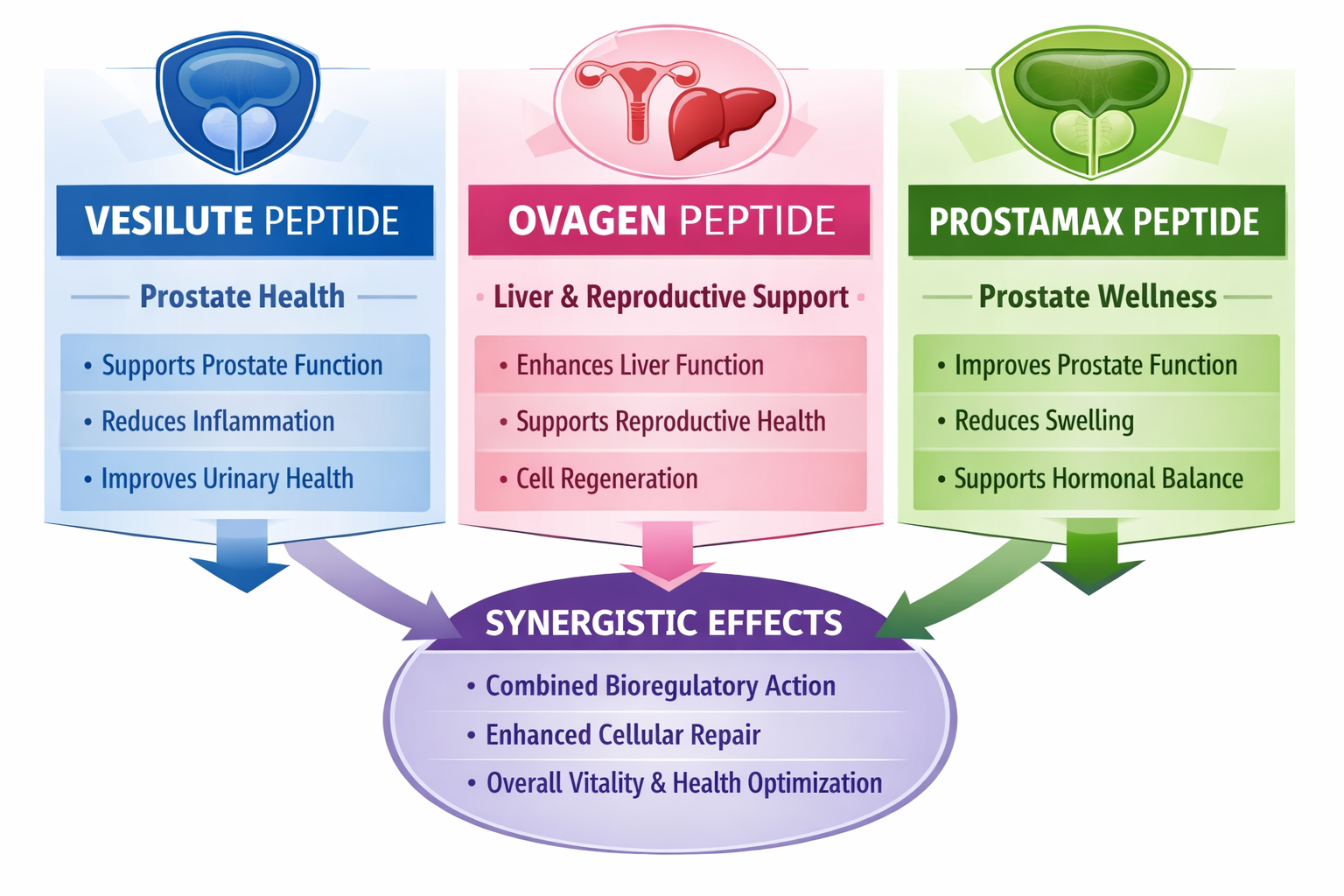 A comparative infographic illustrating the differences and potential synergistic effects between vesilute peptide, ovagen peptide, and prost