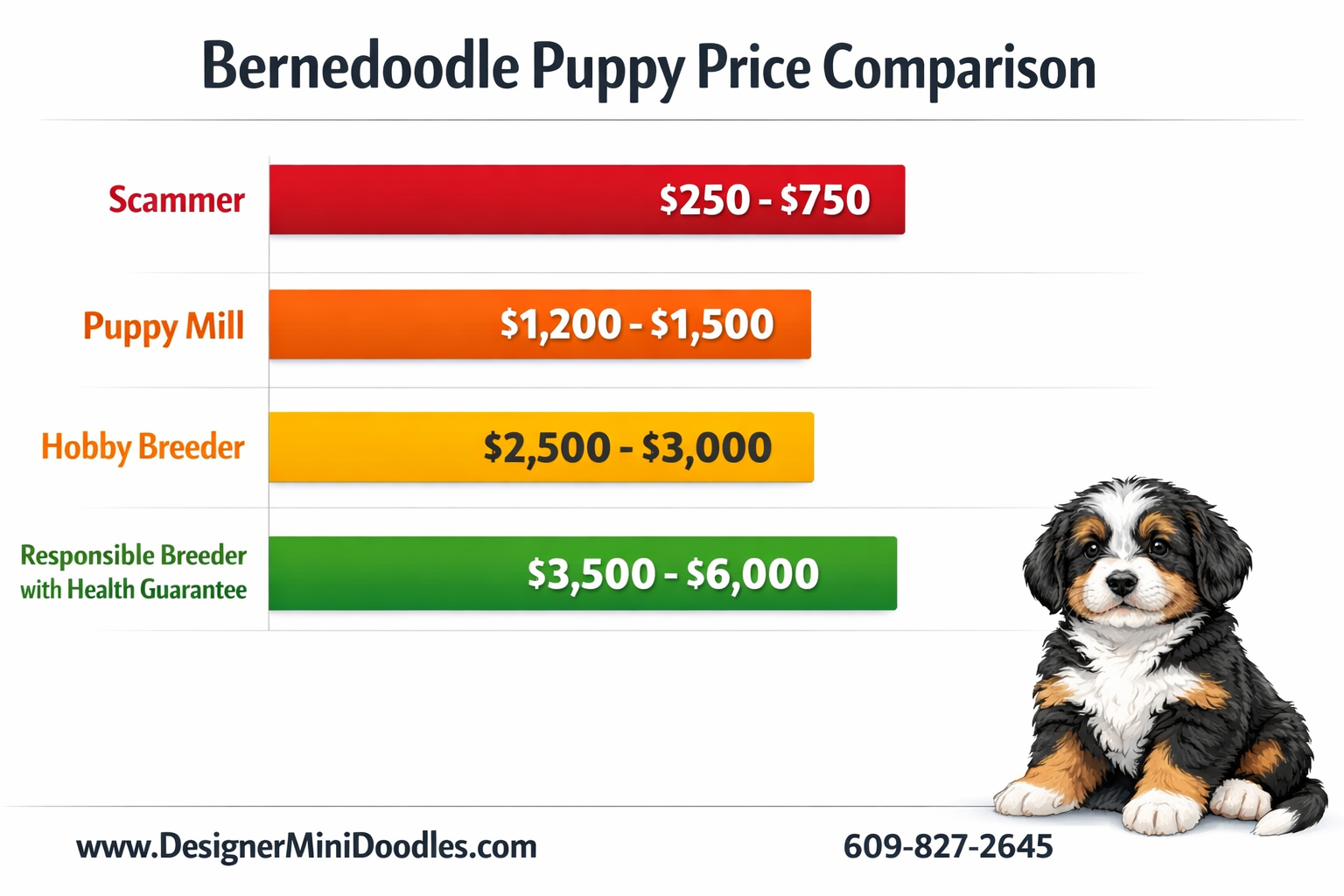 Detailed () infographic-style image showing a price comparison bar chart for bernedoodle puppies. Four horizontal bars