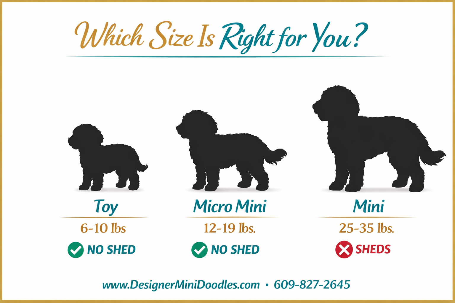 () infographic-style image showing three goldendoodle size comparison silhouettes side by side labeled Toy (6-10 lbs), Micro
