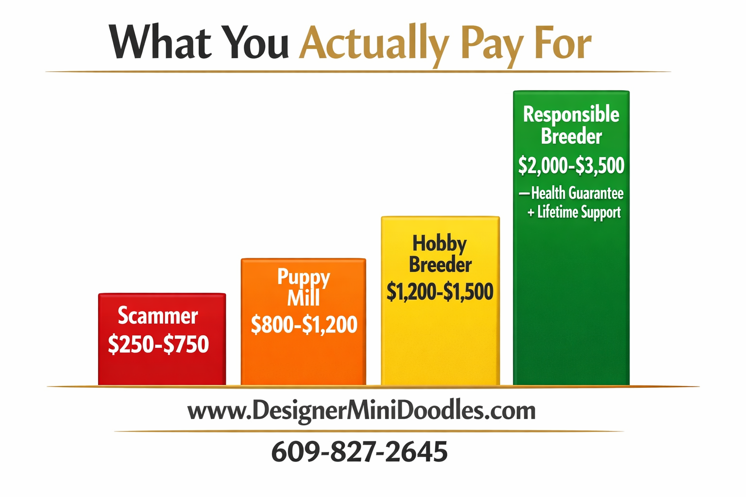 () price comparison bar chart graphic with four colored bars: red bar labeled 'Scammer $250-$750', orange bar labeled 'Puppy