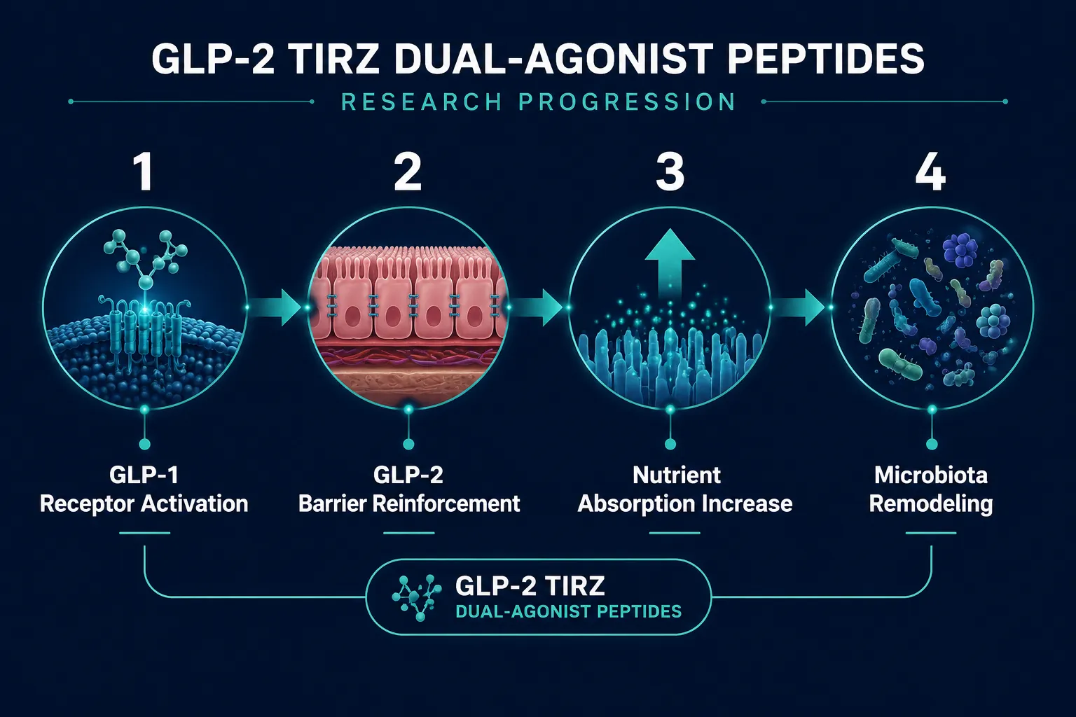 GLP-2 Tirz Peptides: Dual-Agonist Research Applications