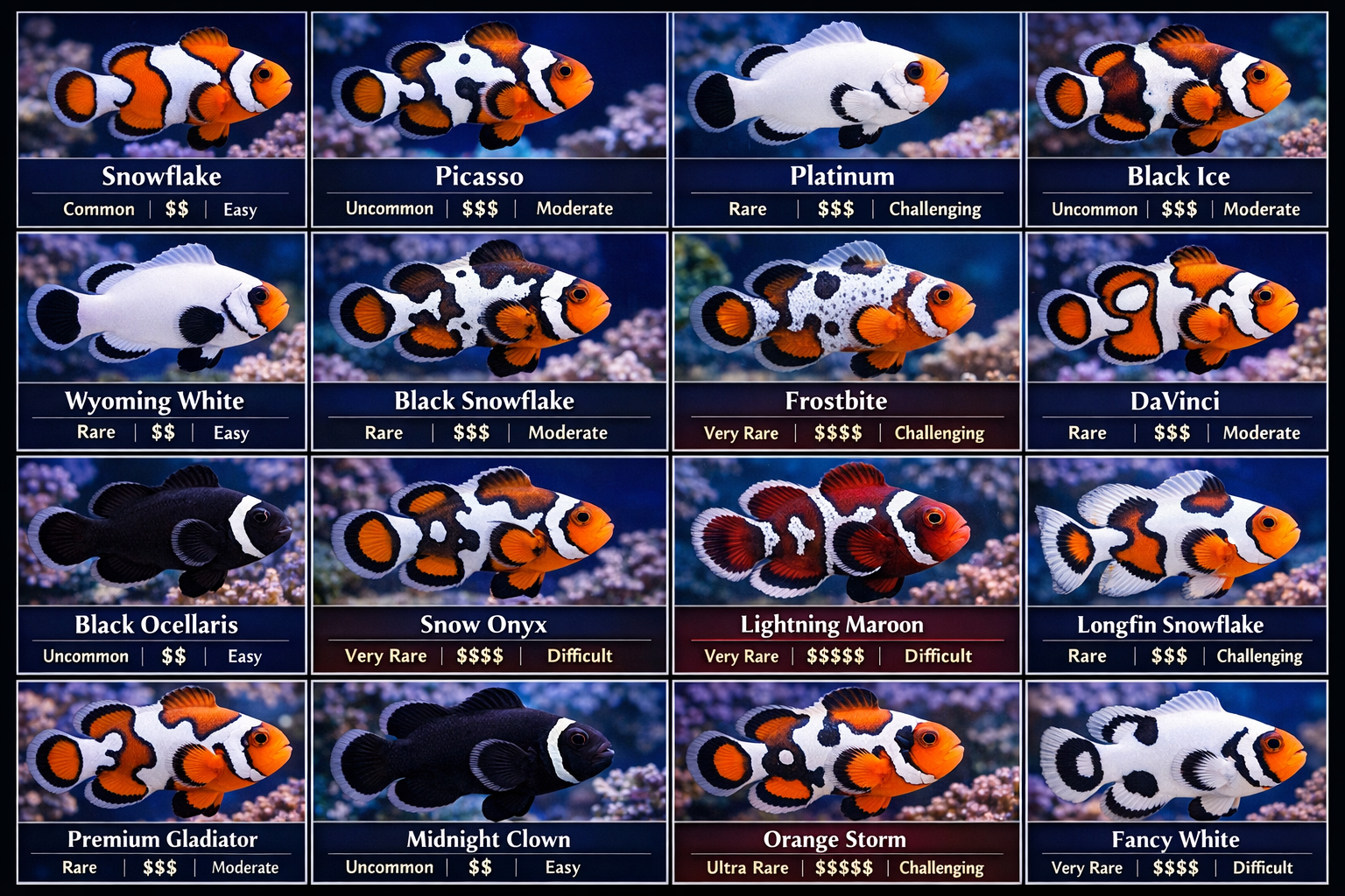 Stunning collection of designer clownfish morphs arranged in professional aquarium photography grid showing 16 different ocellaris variation