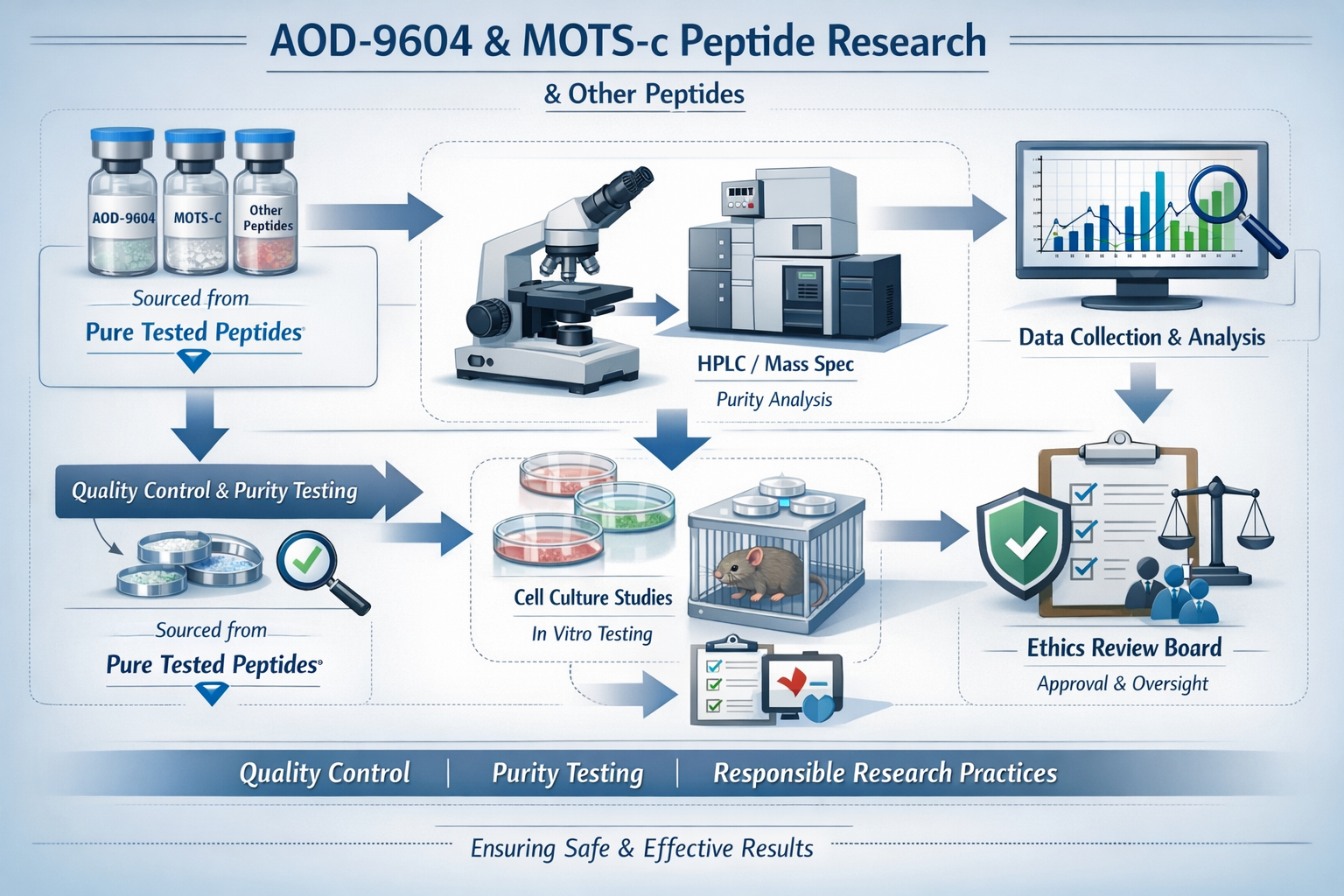 A complex yet clear diagram or flowchart showcasing the research protocols and safety considerations for studying AOD-9604 and mots c peptid