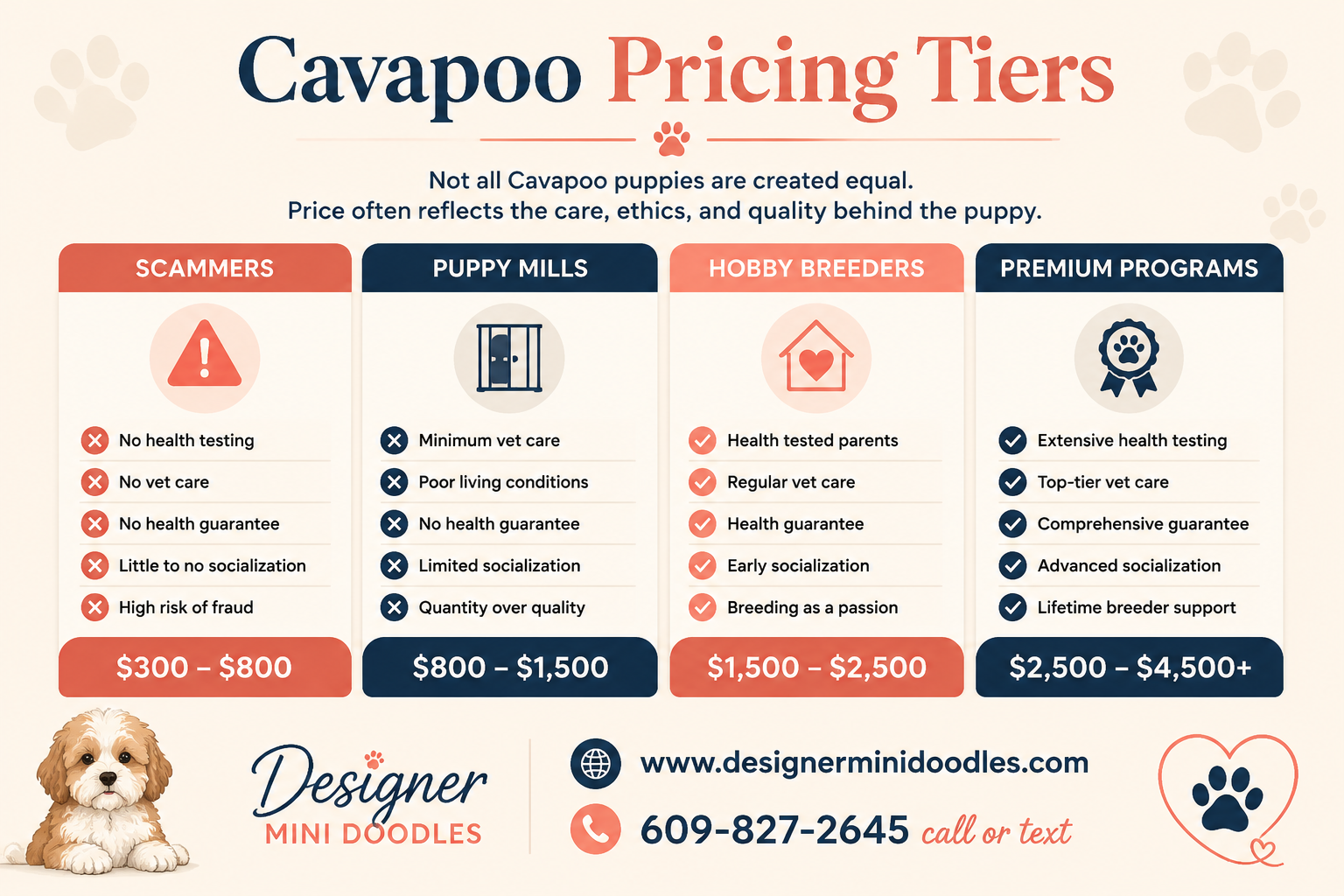 Cavapoo Prices