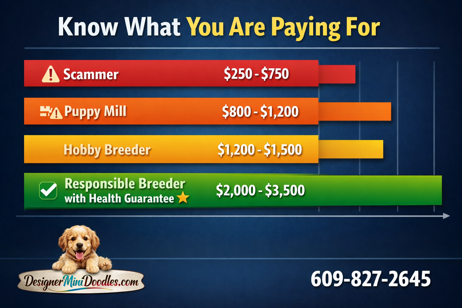 mini goldendoodle price