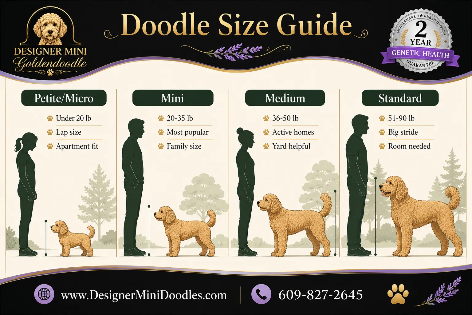 mini goldendoodle Tennessee