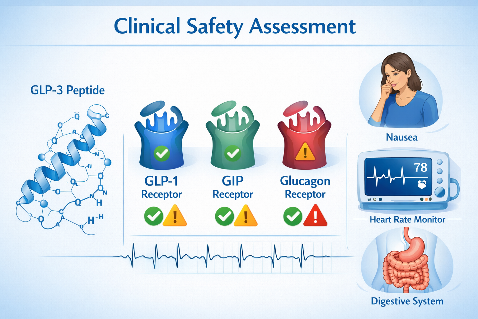 Detailed landscape format (1536x1024) image showing clinical safety assessment visualization with GLP-3 peptide molecular structure on left,