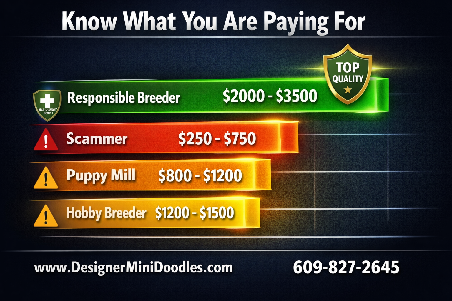 Mini doodle breeders Miami