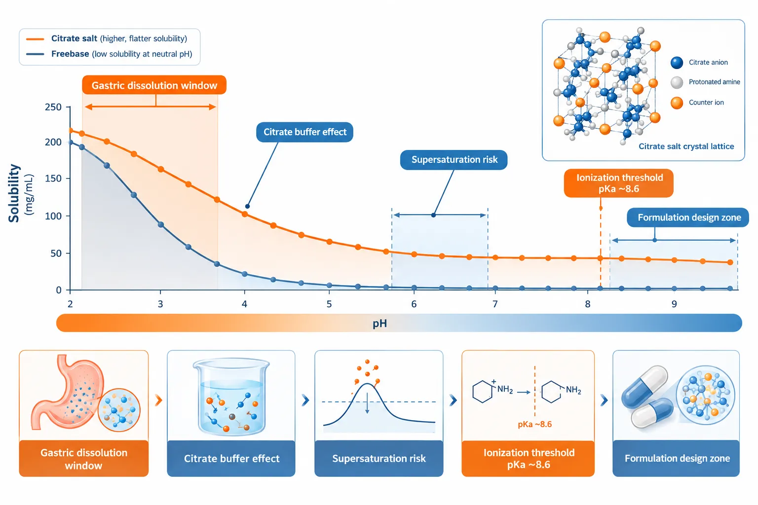 Solubility Profiles and the Role of the Citrate Counterion
