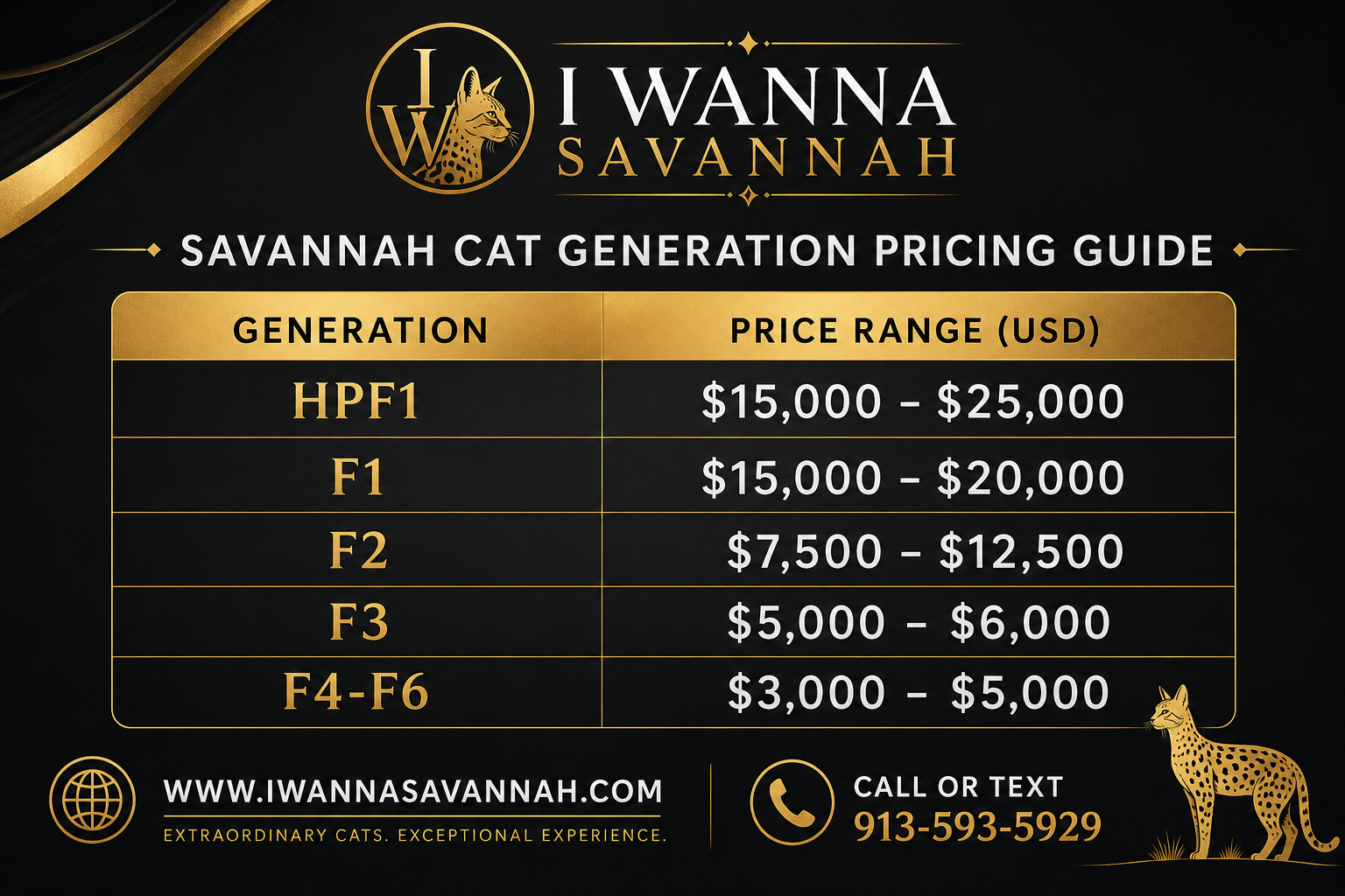 Why I Wanna Savannah Is the Top Choice for a Savannah Cat for Sale in Florida