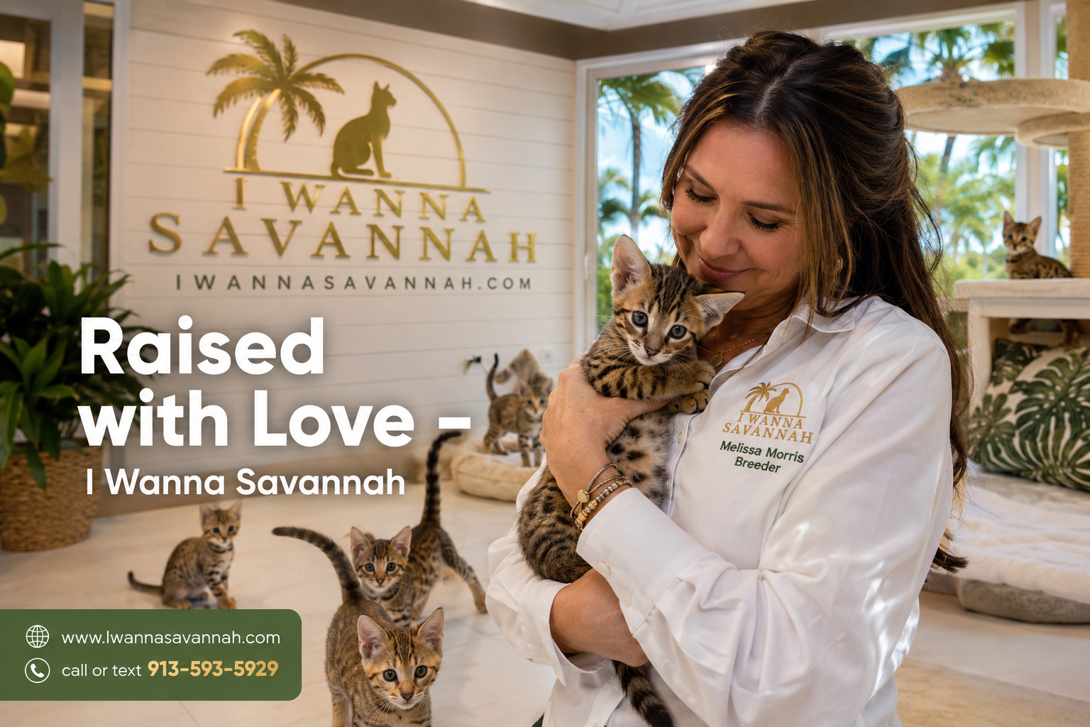 Florida Laws and Regulations for Owning a Savannah Cat