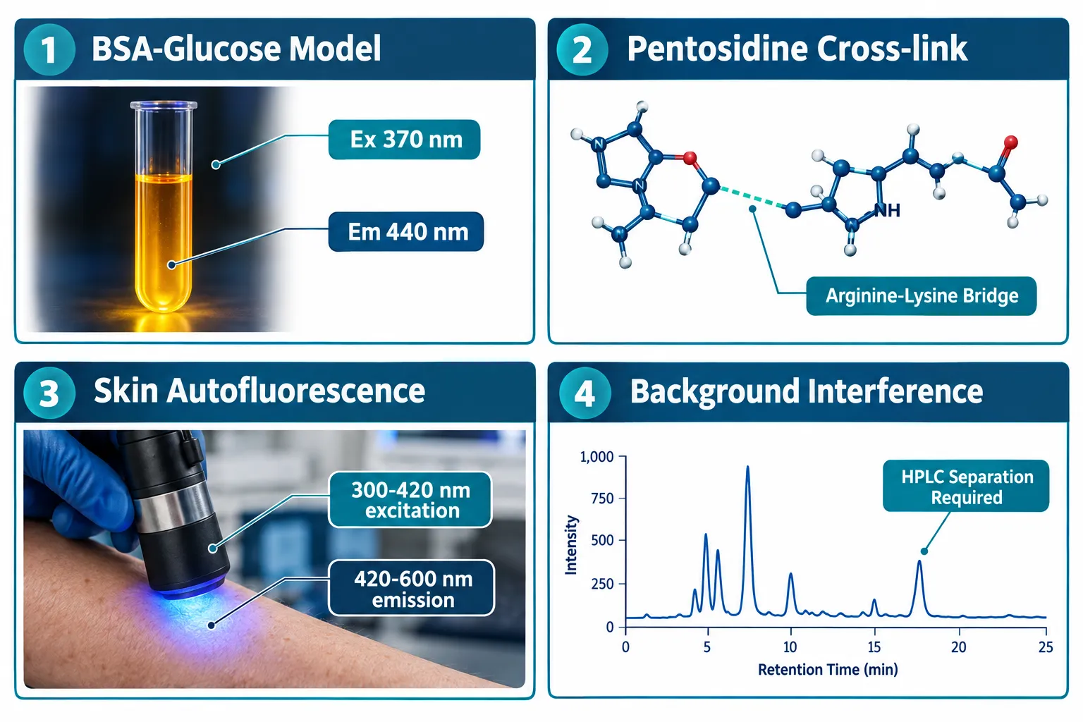Setting Up the Glycation Model: The Foundation of Every Assay