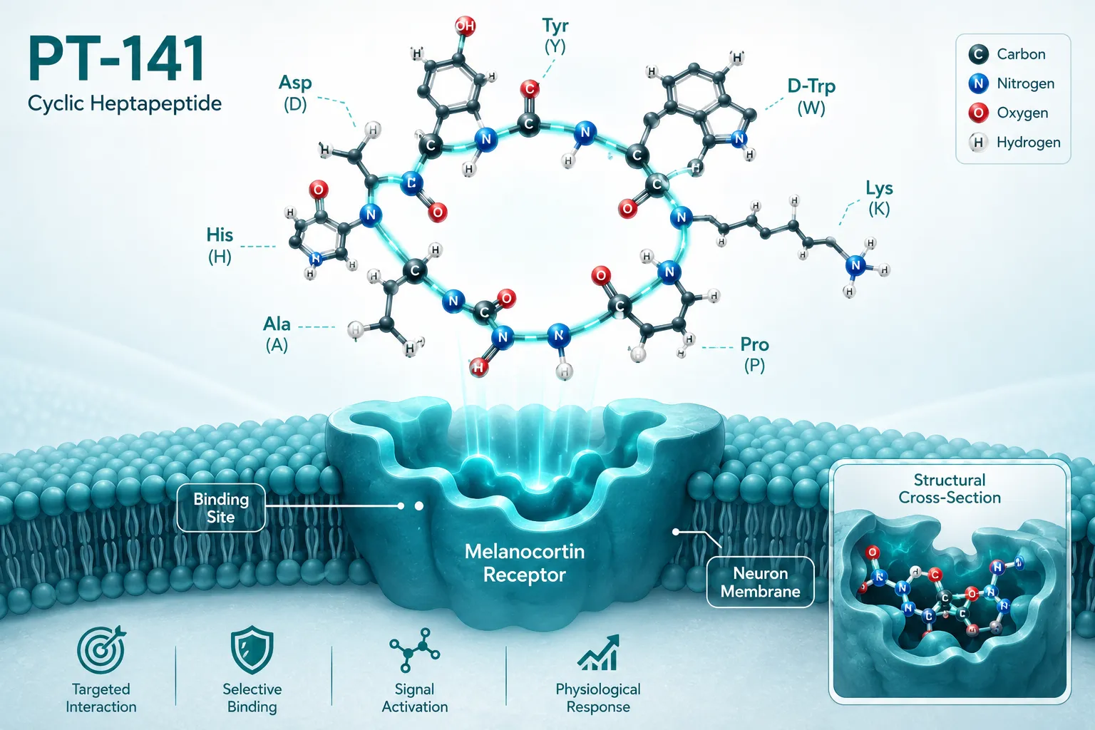 Structural Characteristics and Derivation from Melanotan II