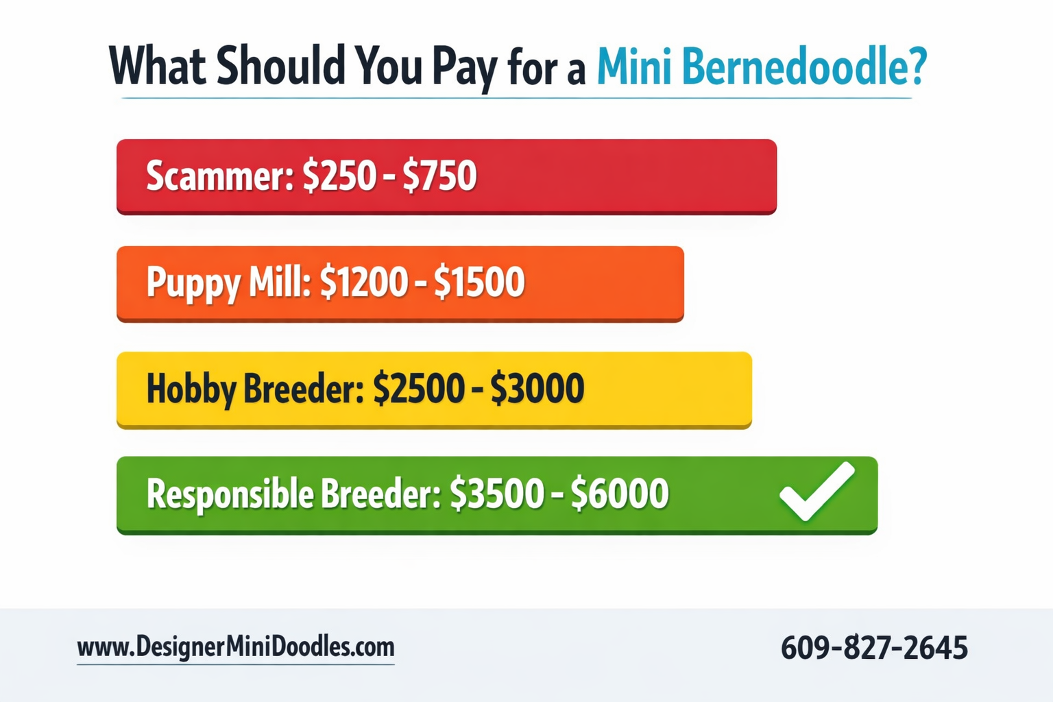 () infographic-style image showing a price comparison bar chart for bernedoodle puppies with four horizontal bars: Scammer