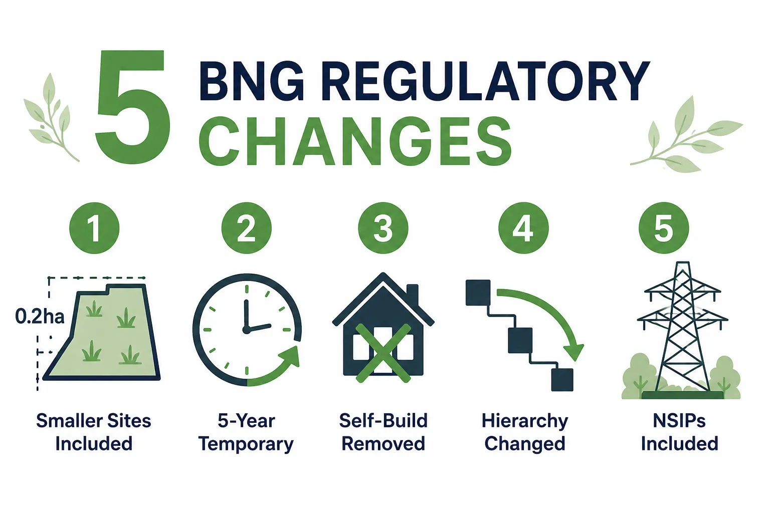 What's the Difference Between BNG and Environmental Impact Assessment?