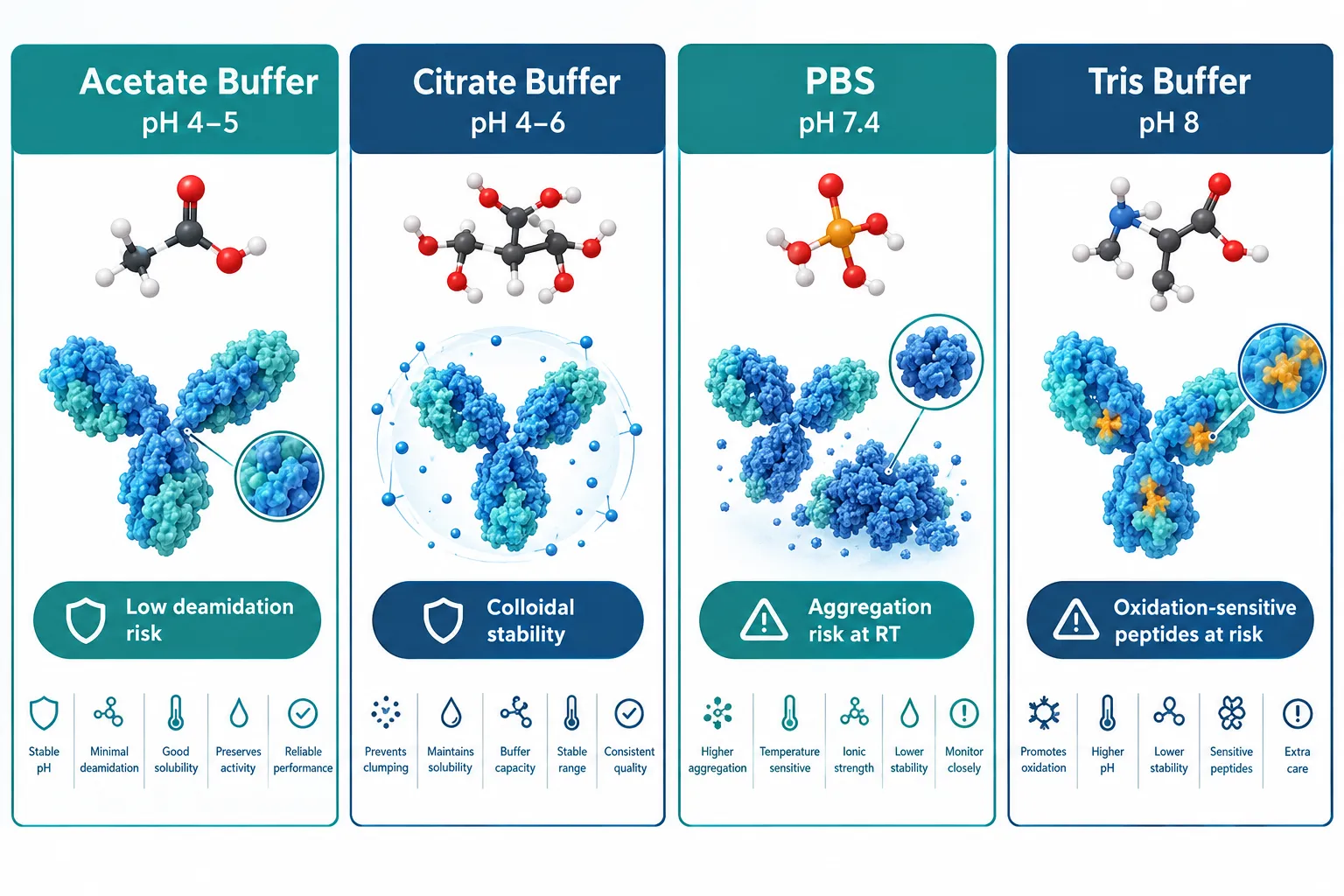 Why Buffer Choice Drives Peptide Reconstitution and Stability