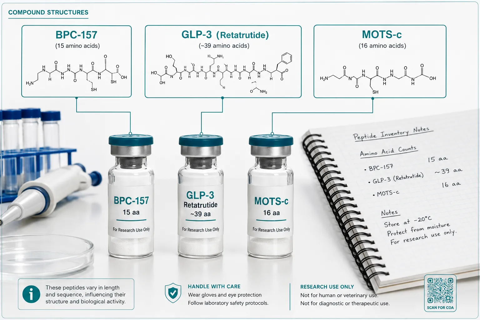 Mapping Size Differences onto Modern Research-Use Compounds