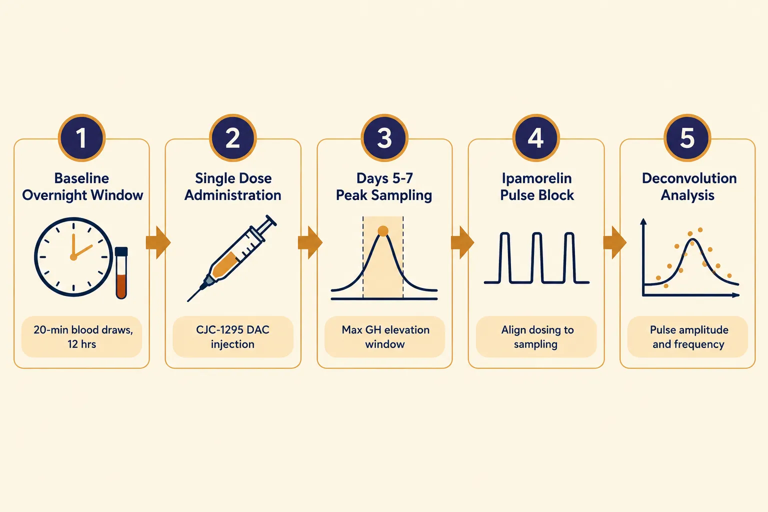 Building the Sampling Architecture for CJC-1295 With DAC and Ipamorelin: Sampling Design for Pulsatile Growth-Hormone Researc