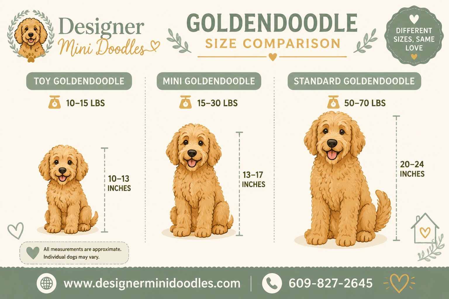 What's the difference between mini and standard goldendoodles?