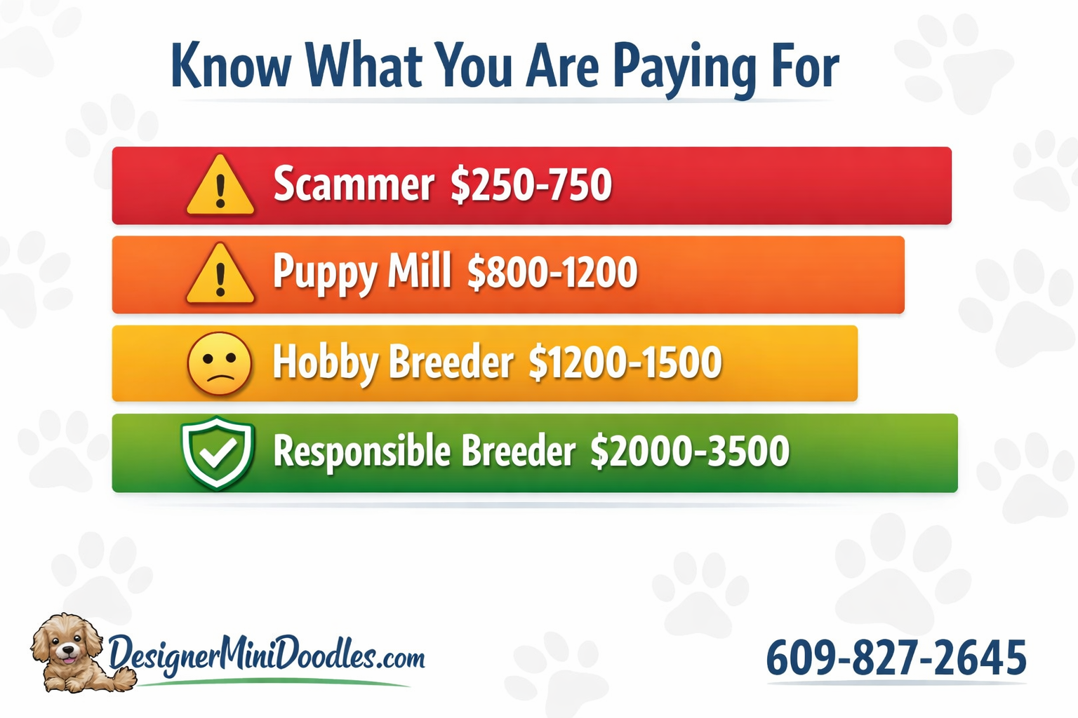 () infographic-style image showing a price comparison bar chart for goldendoodle puppies. Four horizontal bars in different