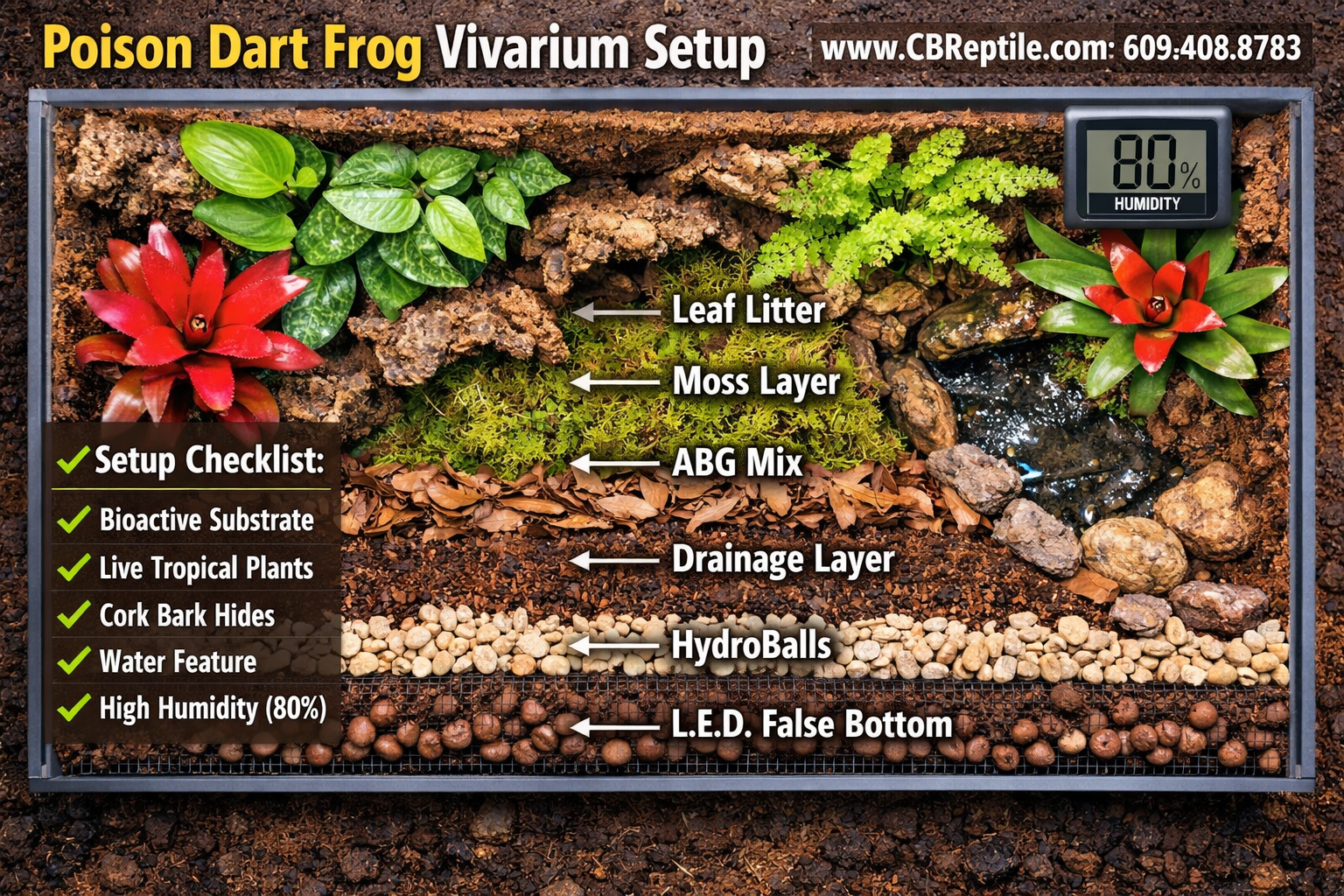 () showing a fully set up poison dart frog vivarium from a top-down perspective: bioactive substrate layers labeled with