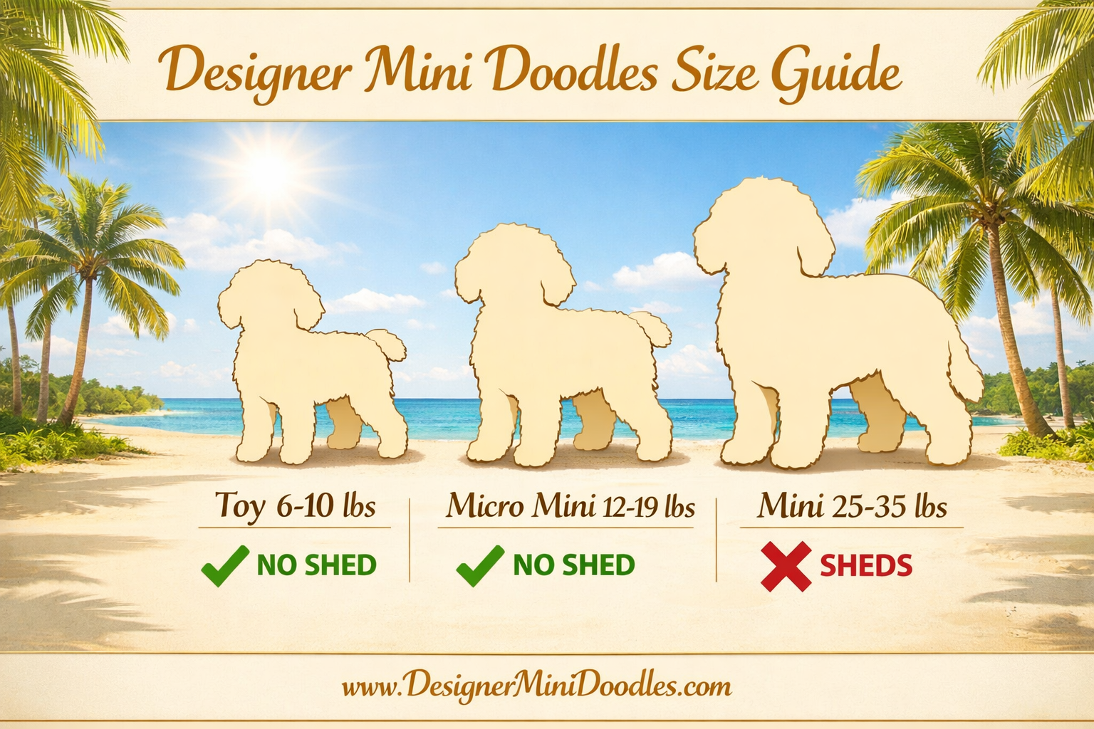 Detailed () infographic-style image showing three goldendoodle size silhouettes side by side labeled Toy 6-10 lbs, Micro