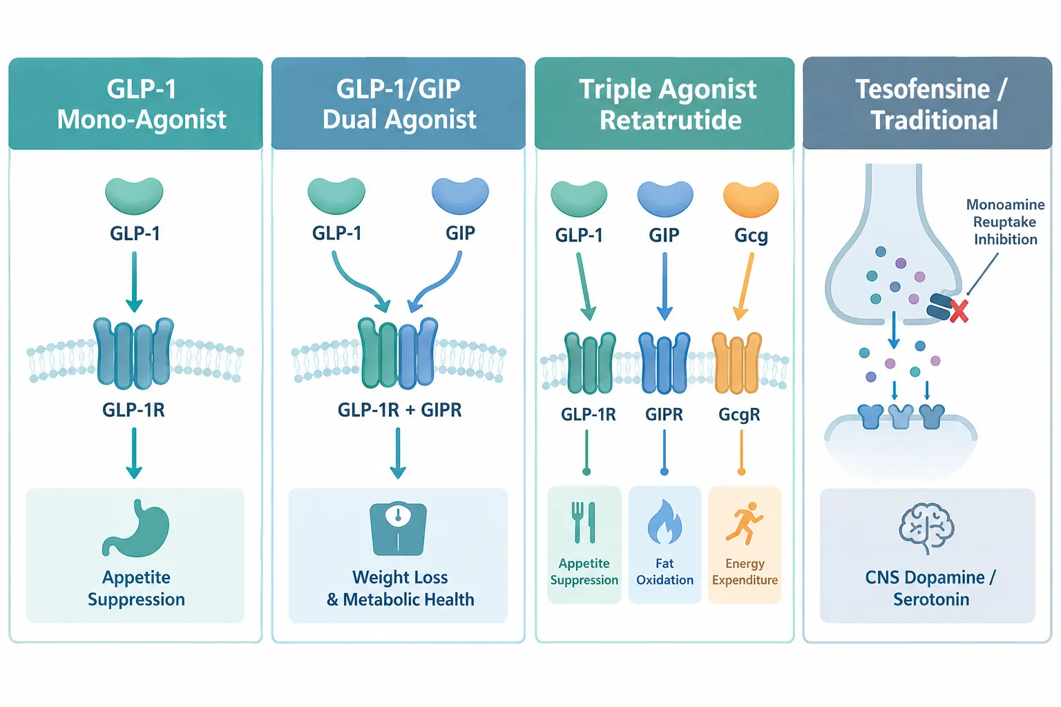 Receptor Pharmacology: The Foundation of Difference