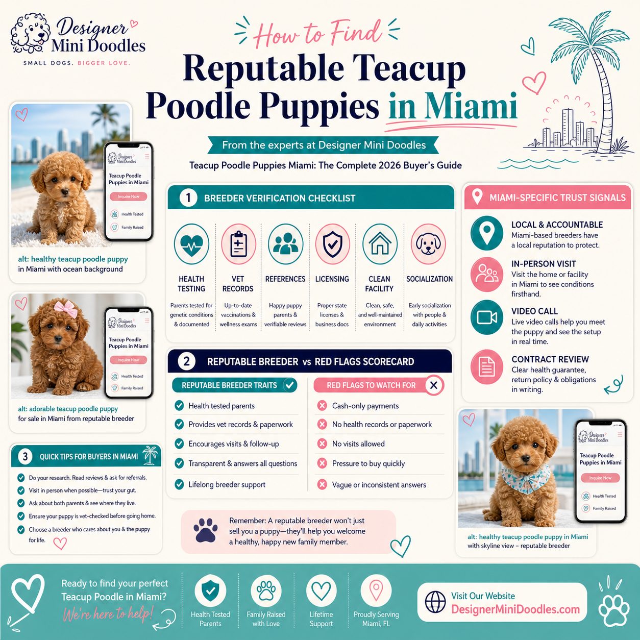 teacup poodle puppies Miami